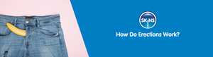 How Do Erections Work?