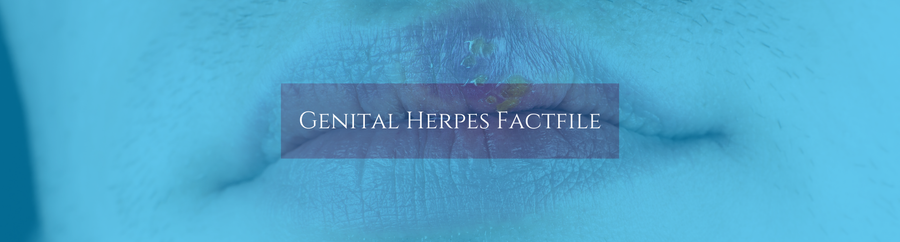 Genital Herpes Fact File
