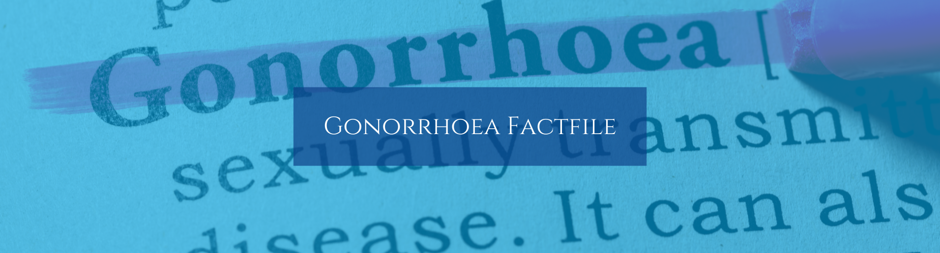 Gonorrhoea Factfile banner