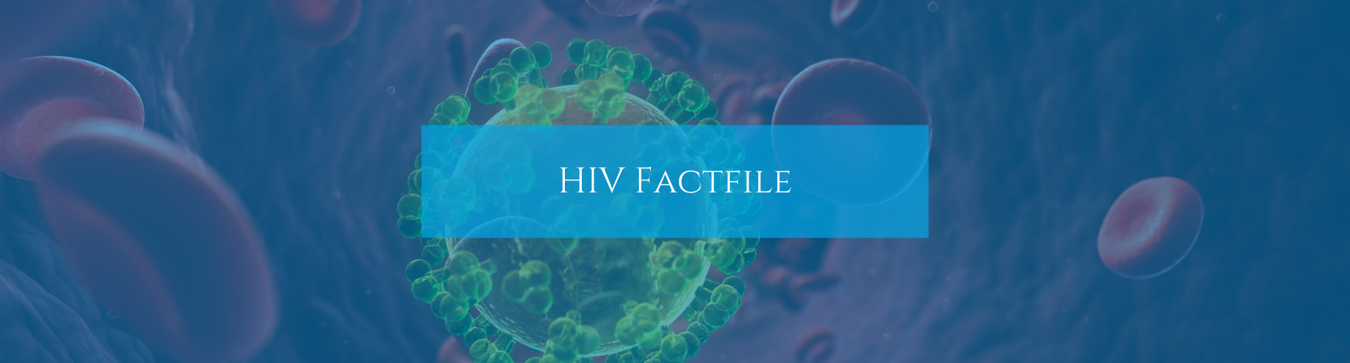 HIV Factfile