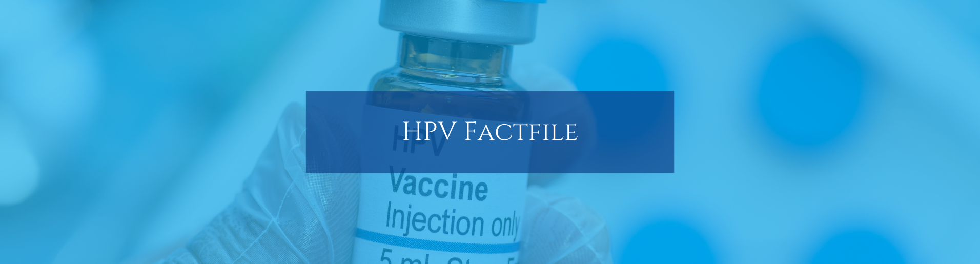 HPV Factfile