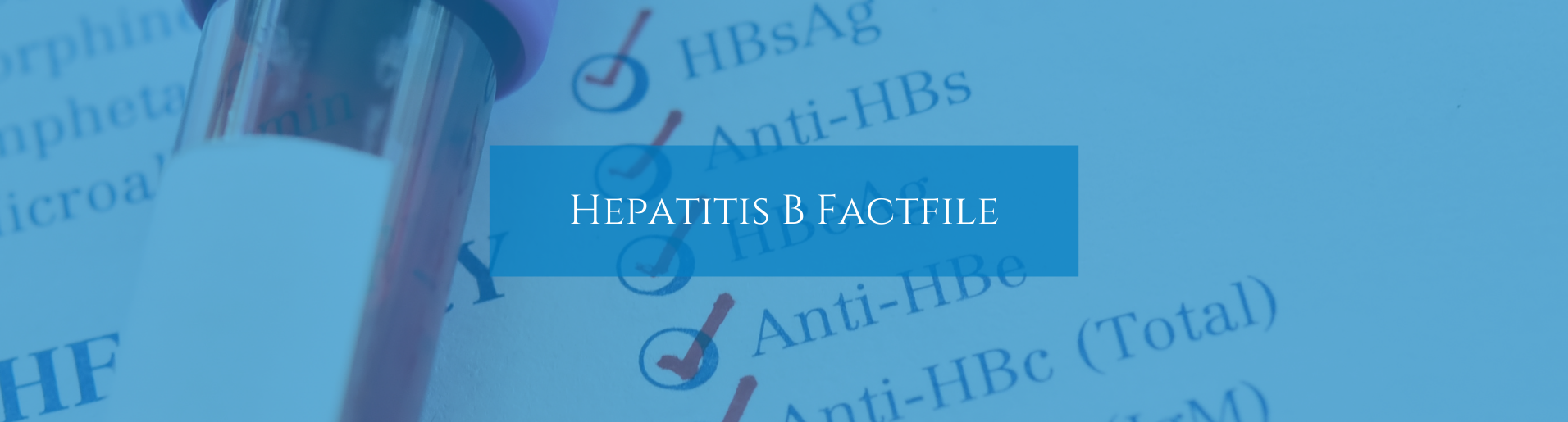 Hepatitis B factfile