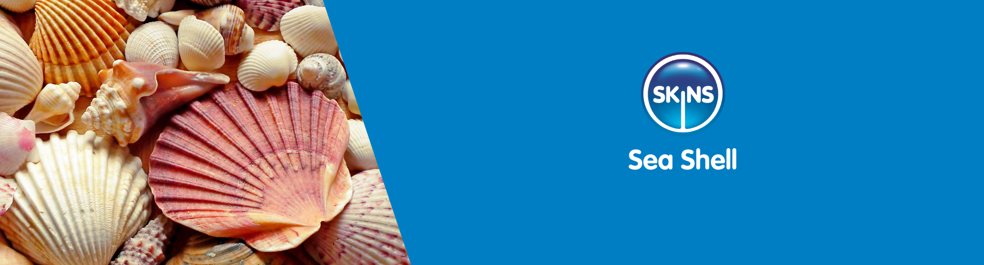 Sea Shell Sex Position