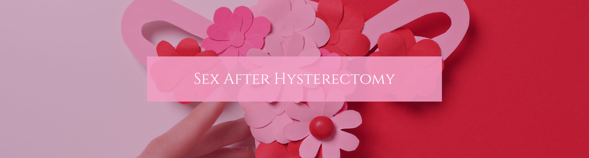 Sex after hysterectomy banner
