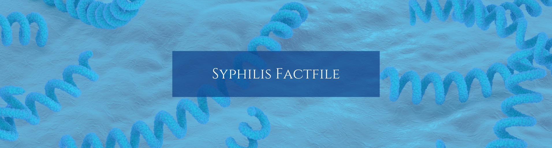 Syphilis Factfile banner