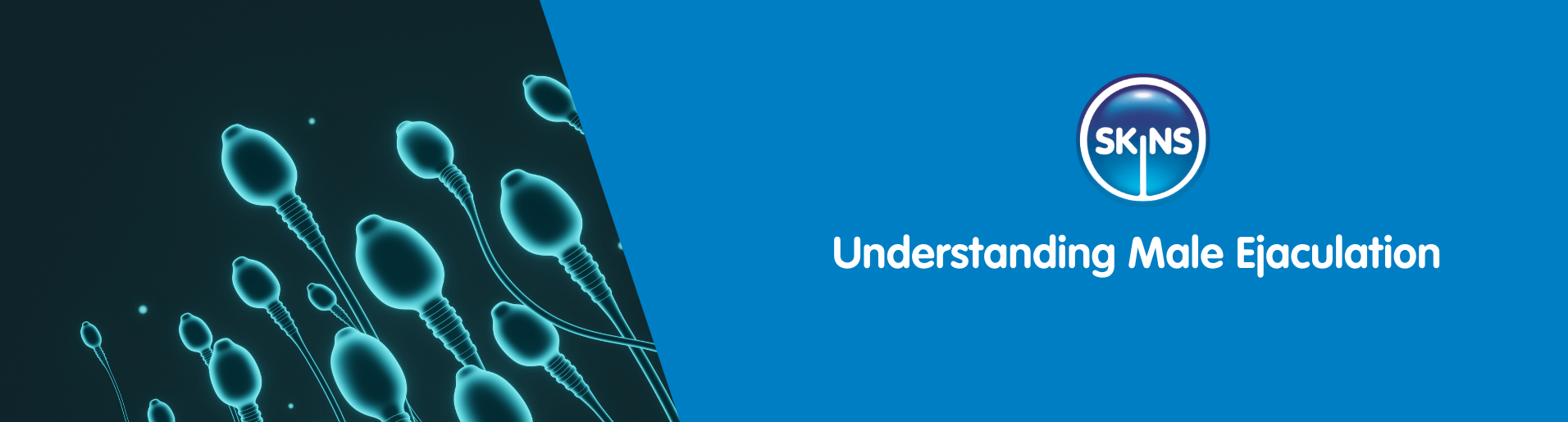 graphic of sperm cells