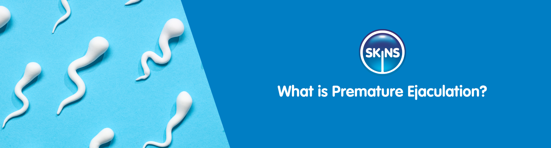 What is Premature Ejaculation?