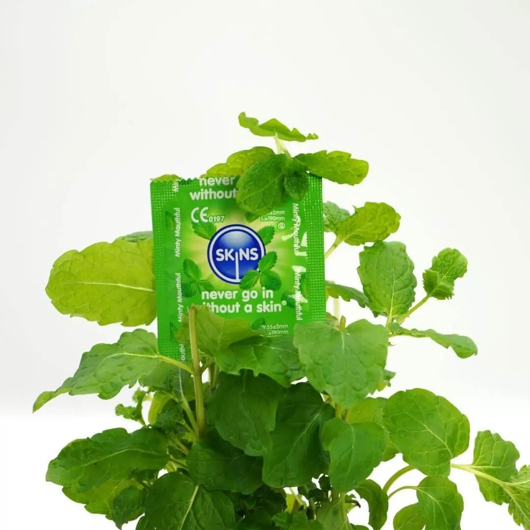 A white background with a mint plant and a mint condom foil placed within the plant 