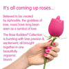 Skins Rose Buddies - Rose Flix - Skins Sexual Health