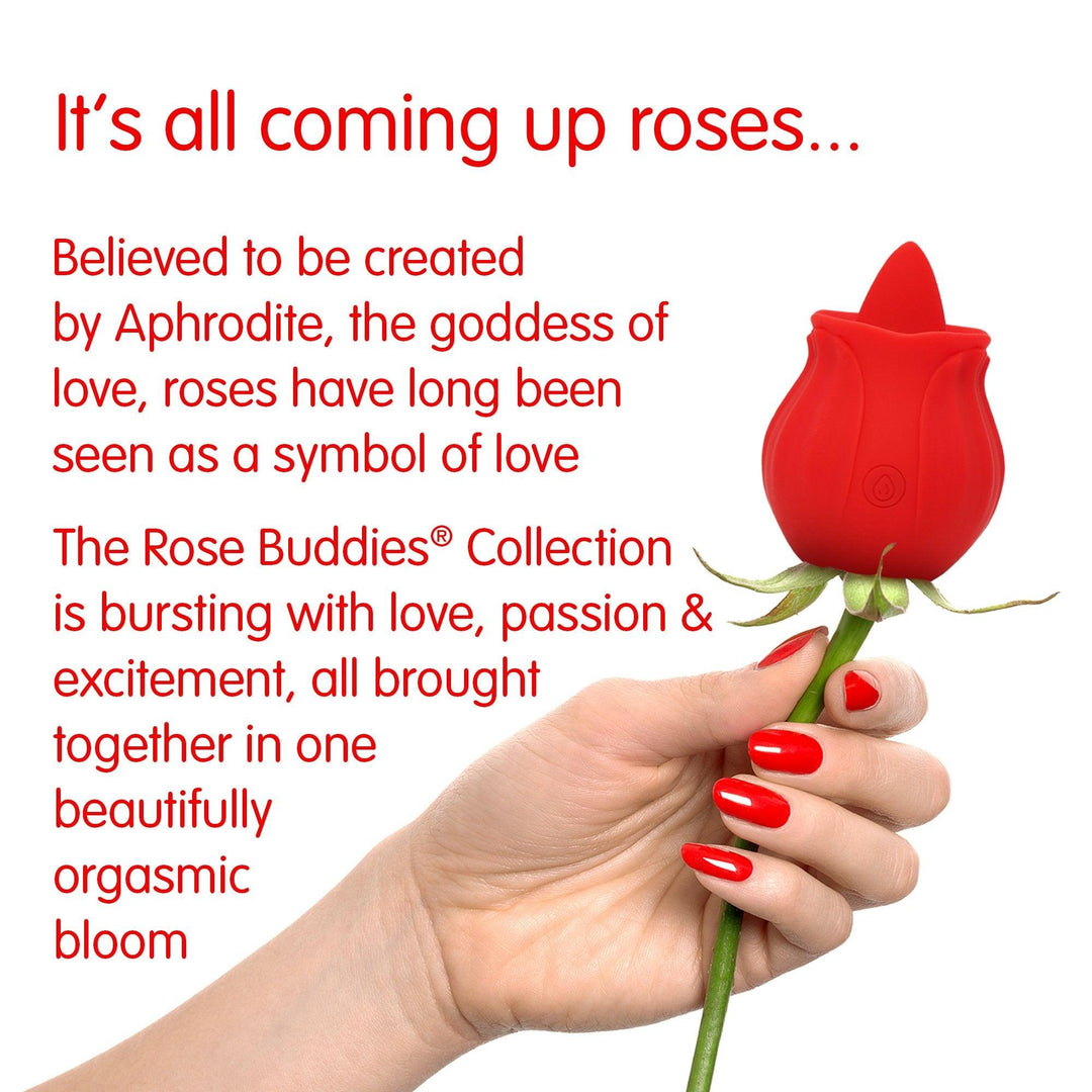 Woman's hand with red nail varnish holding a rose stem with the Skins lix rose buddy being used as the flower